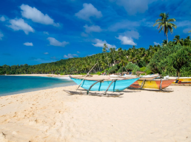 Sri Lanka – hòn đảo ‘thiên đường’ từng lọt danh sách những điểm đến hàng đầu, du lịch từng đóng góp 12% GDP toàn quốc - Ảnh 2.