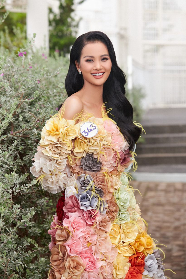 Soi học vấn của dàn thí sinh Miss Universe Vietnam 2022: Người thành thạo 2-3 ngoại ngữ, người luôn trong top đầu trường - Ảnh 4.