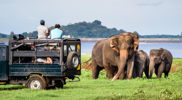 Sri Lanka – hòn đảo ‘thiên đường’ từng lọt danh sách những điểm đến hàng đầu, du lịch từng đóng góp 12% GDP toàn quốc - Ảnh 6.