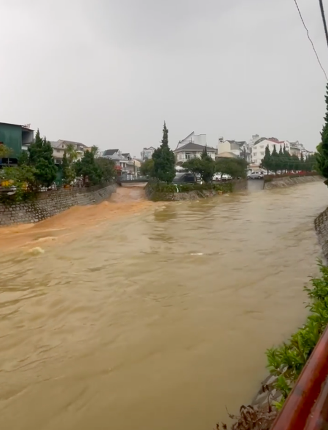  Cảnh tượng đáng báo động ở Đà Lạt sau cơn mưa lớn đầu mùa: Nước cuốn như lũ, có cả mưa đá bể trời! - Ảnh 6.