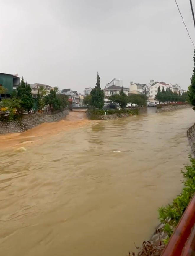 Cảnh tượng đáng báo động ở Đà Lạt sau cơn mưa lớn đầu mùa: Nước cuốn như lũ, có cả mưa đá bể trời! - Ảnh 6. Cảnh tượng đáng báo động ở Đà Lạt sau cơn mưa lớn đầu mùa: Nước cuốn như lũ, có cả mưa đá bể trời! - Ảnh 6.