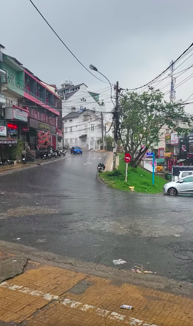  Cảnh tượng đáng báo động ở Đà Lạt sau cơn mưa lớn đầu mùa: Nước cuốn như lũ, có cả mưa đá bể trời! - Ảnh 8.