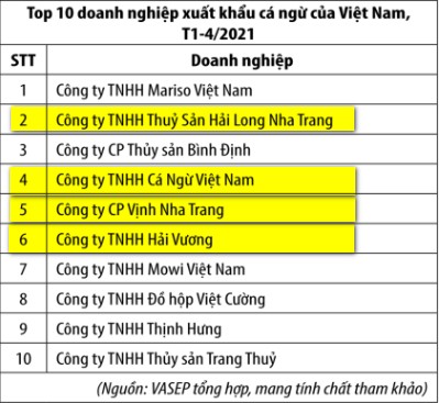 Giải mã Tập đoàn Hải Vương - Đế chế cá ngừ xuất khẩu và cá pelagic lớn nhất Việt Nam - Ảnh 1.