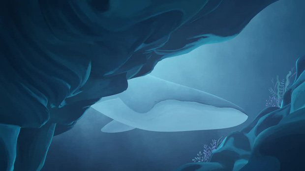  Chuyện buồn của chú cá voi cô đơn nhất hành tinh: Chưa 1 lần được tìm thấy nhưng vẫn làm cả thế giới cảm thương cùng bí mật kéo dài 30 năm - Ảnh 3.