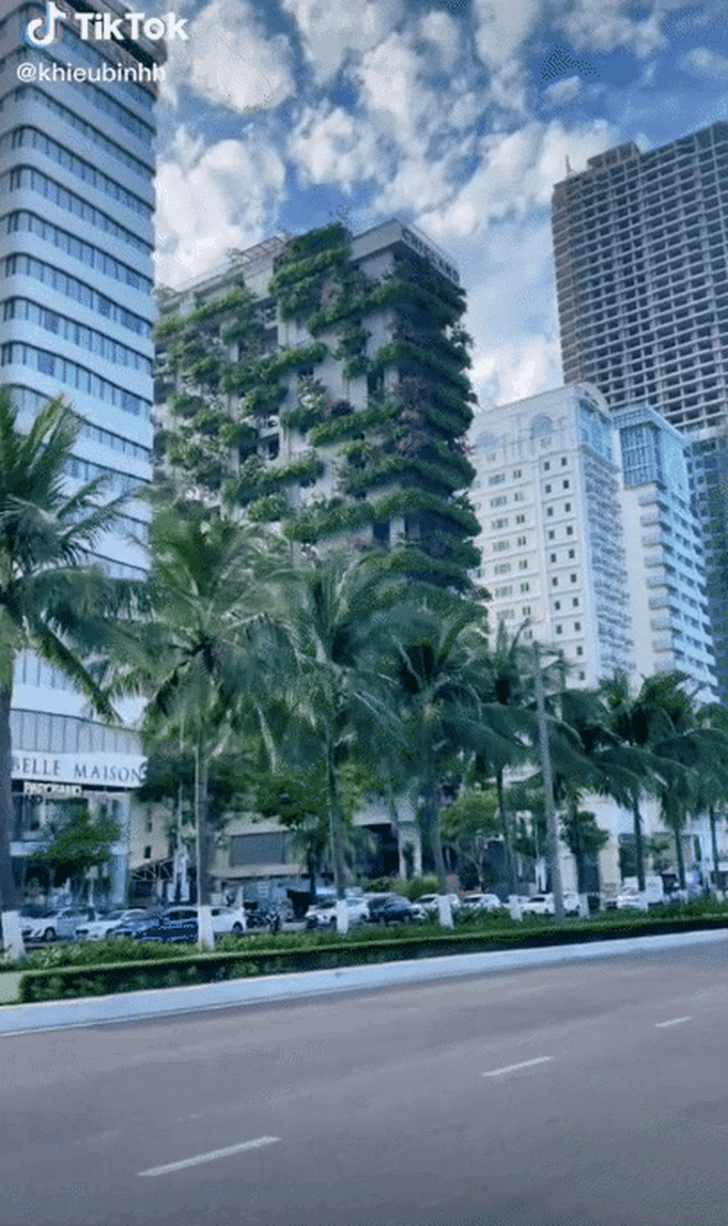 Toà nhà xanh mướt ở Đà Nẵng khiến bất cứ ai đi ngang cũng phải ngoái nhìn, dân mạng trầm trồ vì thiết kế quá độc lạ - Ảnh 1.