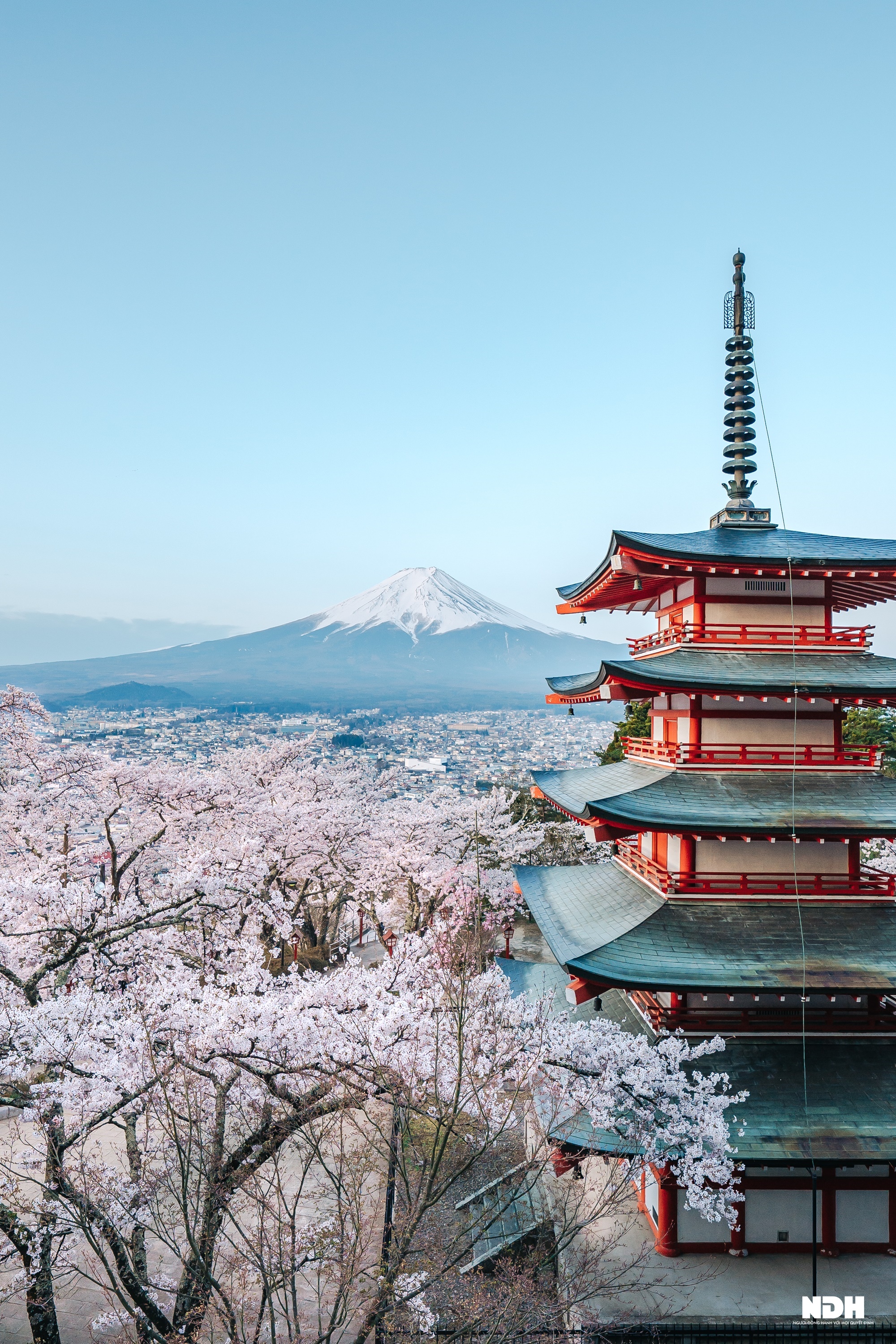Hình nền Nền Núi Phú Sĩ Với Những Chiếc Lá đỏ Bao Quanh Bởi Nước Nền, Lá  Mùa Thu Và Núi Phú Sĩ, ảnh Chụp ảnh Hd, Bầu Trời Background Vector để