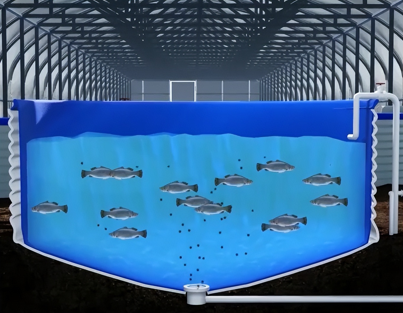 Aquabonics Mô hình trồng rau kết hợp nuôi cá  LONG AN TV  YouTube