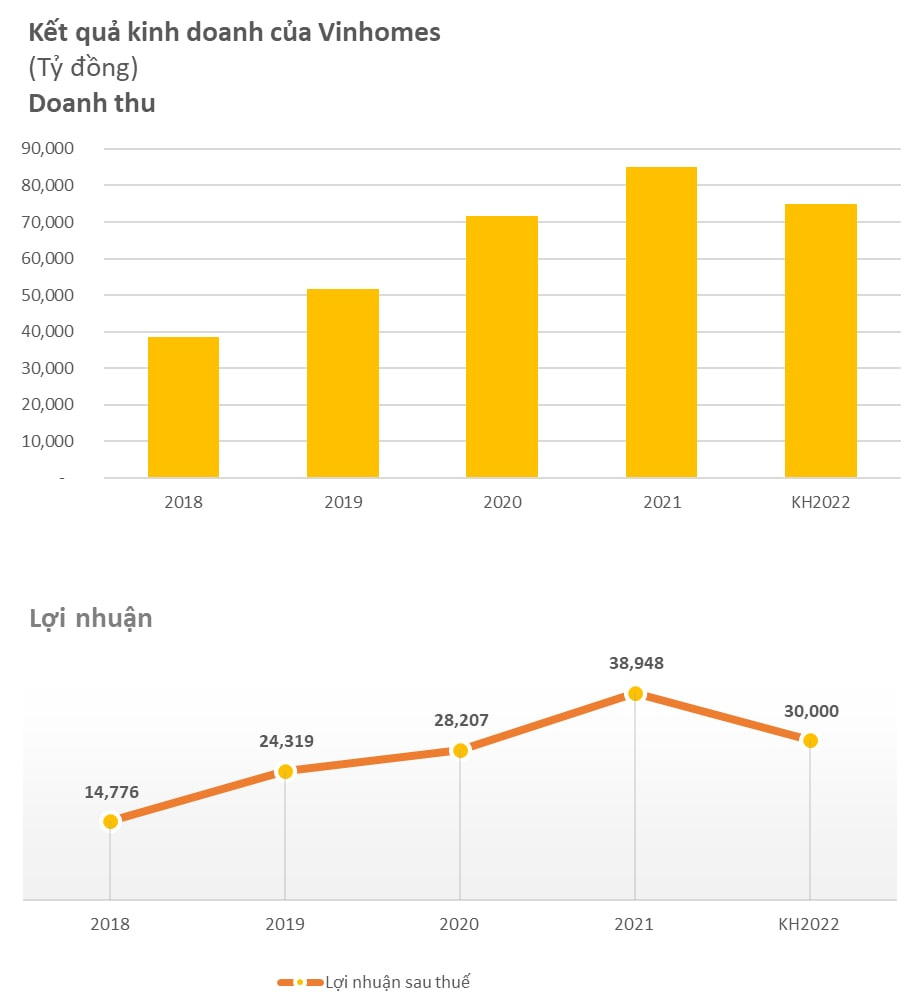 Vinhomes (VHM) đặt kế hoạch lợi nhuận 30.000 tỷ, bằng 77% năm 2021 - Ảnh 1.