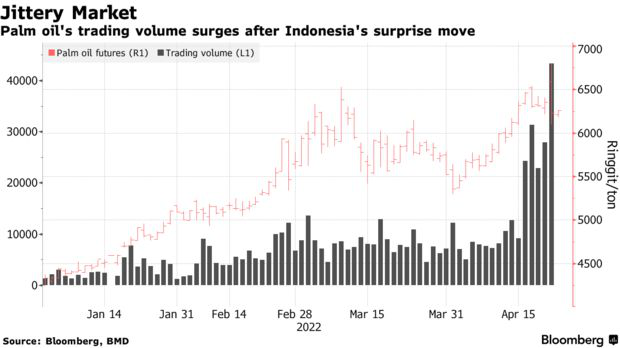 Quốc gia Đông Nam Á đưa ra quyết định động trời chỉ trong 1 tíc tắc: Trader hoảng sợ, thị trường 50 tỷ đô rơi vào hỗn loạn - Ảnh 1.