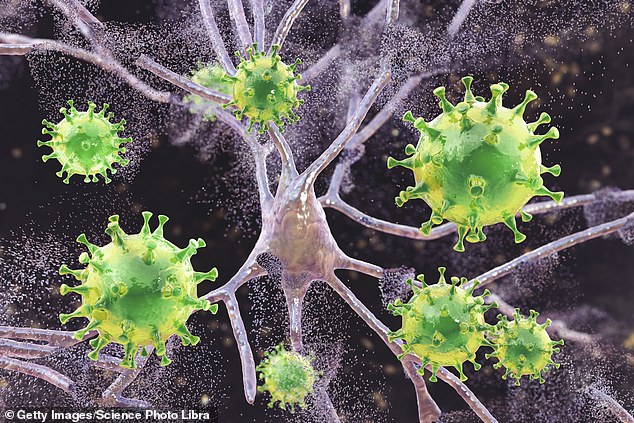 Người đàn ông tử vong do nhiễm một loại virus cực hiếm gặp sau khi bị bọ ve cắn - Ảnh 1.