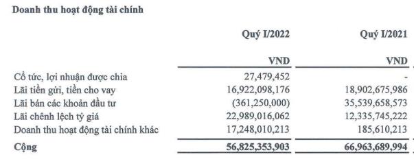 Gánh nặng chi phí, An Phát Holdings (APH) vẫn báo lãi ròng kỷ lục 83 tỷ đồng trong quý 1 - Ảnh 2.
