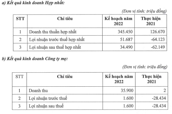 Chủ sở hữu Six Senses Ninh Vân Bay (NVT) trình kế hoạch có lãi trong năm 2022 và miễn nhiệm ông Hồ Việt Hà khỏi HĐQT - Ảnh 1.