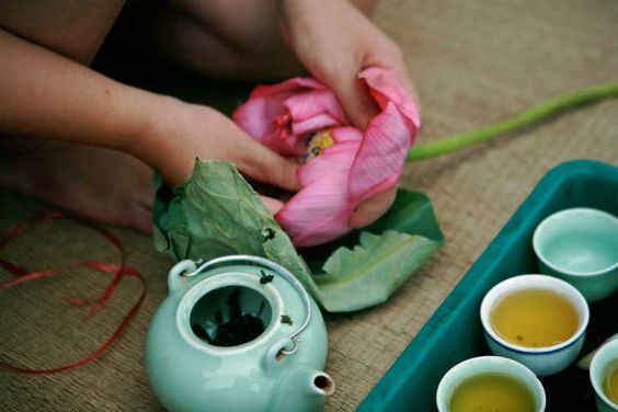 Người Việt có 1 loại trà quốc bảo hỗ trợ giảm béo và kiểm soát lượng đường trong máu, F0 uống mỗi ngày còn hỗ trợ dễ ngủ hơn - Ảnh 4.