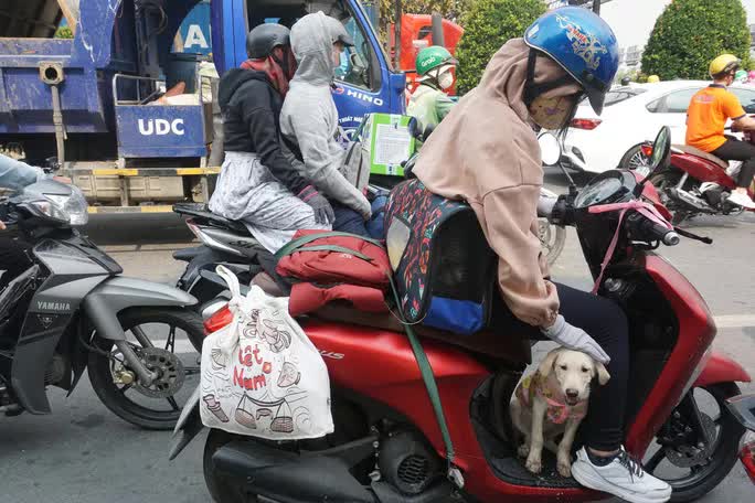 TP HCM: Kẹt xe tại bến xe, tuyến đường cửa ngõ ngày đầu nghỉ Lễ Giỗ Tổ Hùng Vương - Ảnh 5. TP HCM: Kẹt xe tại bến xe, tuyến đường cửa ngõ ngày đầu nghỉ Lễ Giỗ Tổ Hùng Vương - Ảnh 5.