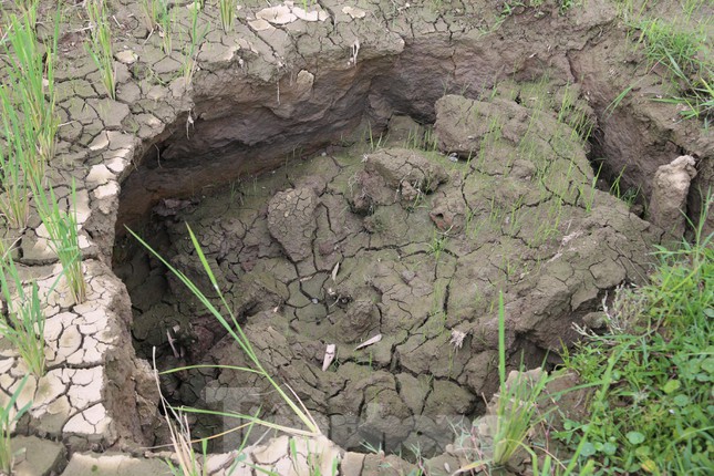  Vụ đất sụt, nhà nứt, giếng cạn bất thường ở Nghệ An: Tạm đình chỉ doanh nghiệp khai thác nước ngầm  - Ảnh 4.