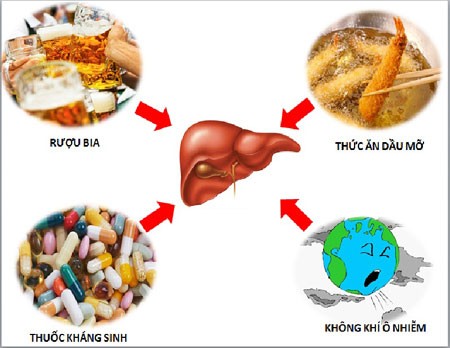 7 thói quen gọt mòn lá gan từng ngày, cứ kéo dài chẳng mấy mà ung thư gan - Ảnh 1.