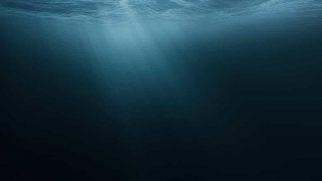 Những sự thật thú vị về đại dương có thể bạn chưa biết - Ảnh 7.