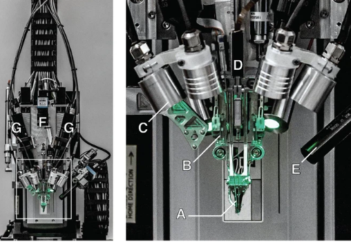  Căn bệnh kinh niên cả thế giới không ai trị được, Elon Musk nói cấy chip Neuralink vào não chắc chắn khỏi  - Ảnh 2.