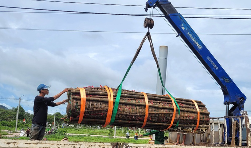 Cận cảnh cặp bánh tét siêu to khổng lồ dâng cúng Bà Chúa Xứ - Ảnh 1. Cận cảnh cặp bánh tét siêu to khổng lồ dâng cúng Bà Chúa Xứ - Ảnh 1.