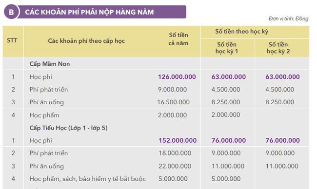 Loạt trường tư thục, quốc tế ở quận Nam Từ Liêm: Học phí từ 27 triệu đồng/năm, có 1 trường siêu HOT, phụ huynh xếp hàng từ đêm để nộp hồ sơ - Ảnh 2.