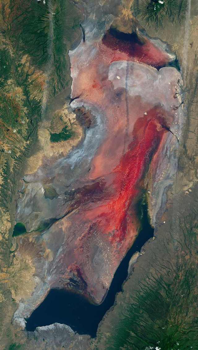  Hồ nước đỏ ở Tanzania này sở hữu siêu năng lực biến hầu hết các sinh vật thành đá  - Ảnh 2.