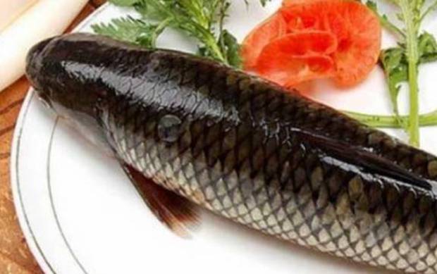 3 loại cá ăn thường xuyên có lợi cho người bị tiểu đường, giá thành rẻ mà rất giàu chất dinh dưỡng, không bị bệnh cũng nên ăn - Ảnh 3.