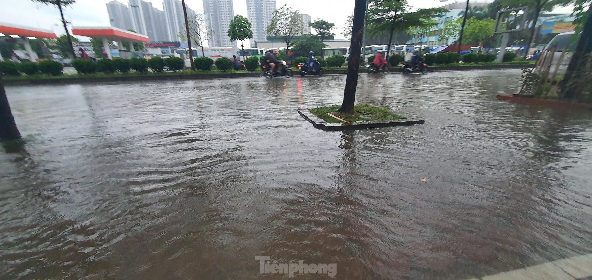 Đường biến thành sông, dân chung cư Hà Nội hò nhau bắt cá sau mưa lớn - Ảnh 12.