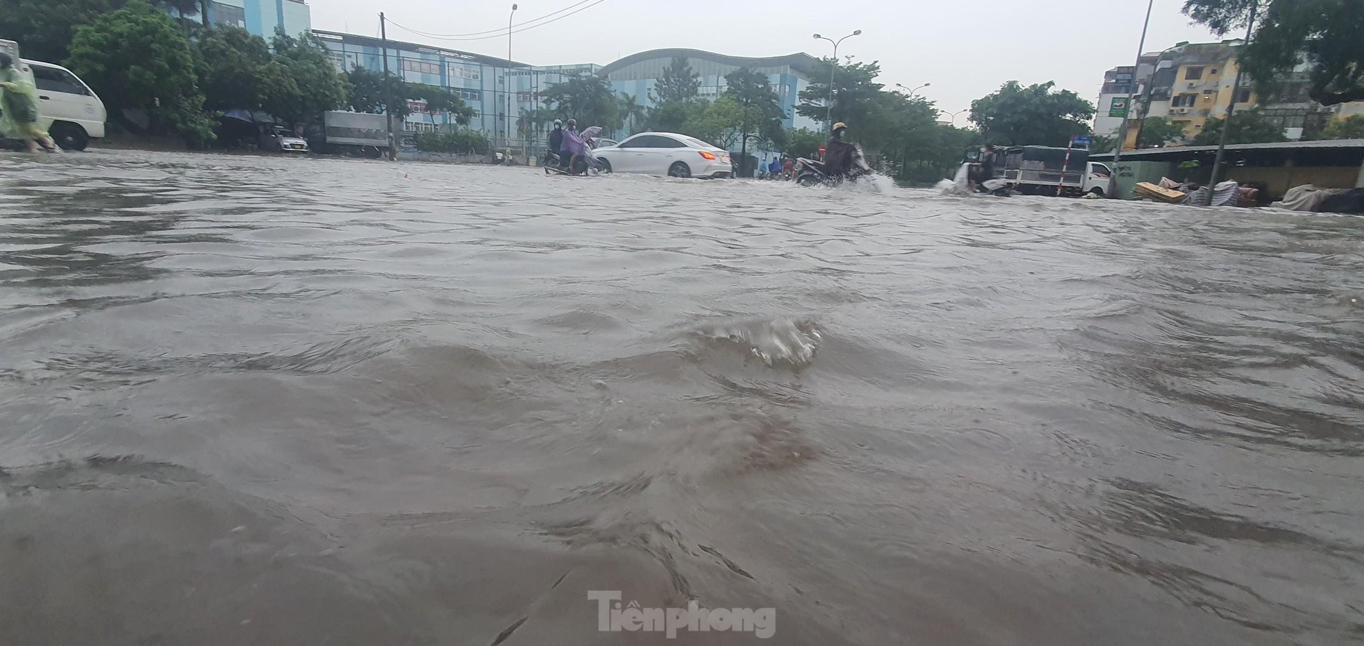 Đường biến thành sông, dân chung cư Hà Nội hò nhau bắt cá sau mưa lớn - Ảnh 2.