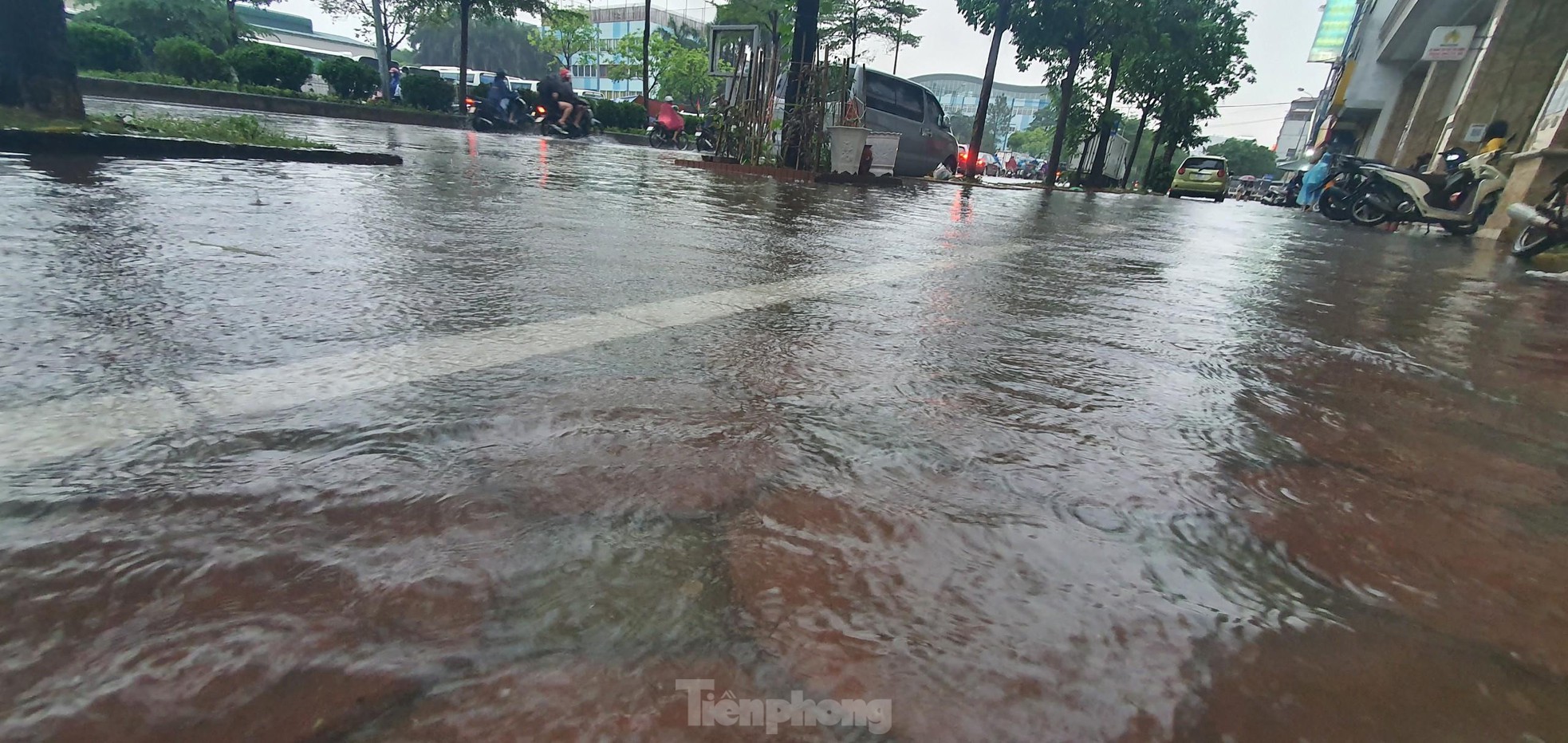 Đường biến thành sông, dân chung cư Hà Nội hò nhau bắt cá sau mưa lớn - Ảnh 5.