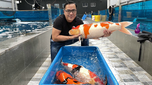 Vua cá Koi Thắng Ngô là ai mà sở hữu công ty cá hàng top thế giới, từng gây sốt từ cuộc thi Siêu trí tuệ Việt Nam? - Ảnh 1.