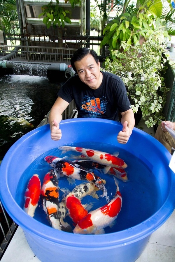 Vua cá Koi Thắng Ngô là ai mà sở hữu công ty cá hàng top thế giới, từng gây sốt từ cuộc thi Siêu trí tuệ Việt Nam? - Ảnh 2.