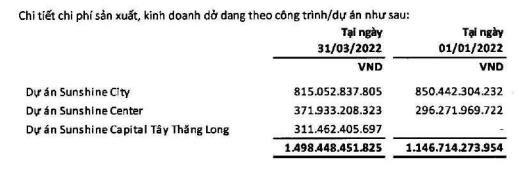 Sunshine Homes (SSH) báo lãi quý 1 tăng gấp đôi cùng kỳ dù doanh thu sụt giảm mạnh - Ảnh 2.