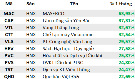 Lộ diện những cổ phiếu ngược dòng tăng điểm trong tháng Sell in May: Quán quân bứt phá gần 65%, duy nhất một bluechips lọt TOP tăng mạnh nhất sàn HoSE - Ảnh 7.