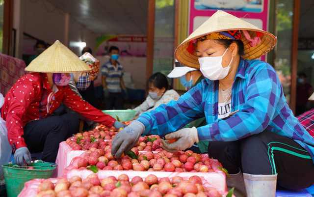 Trái vải Việt Nam xây dựng thương hiệu trên bản đồ nông sản thế giới - Ảnh 1.