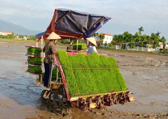 Khi hợp tác xã chuyển đổi số, bán hàng online - Ảnh 2.