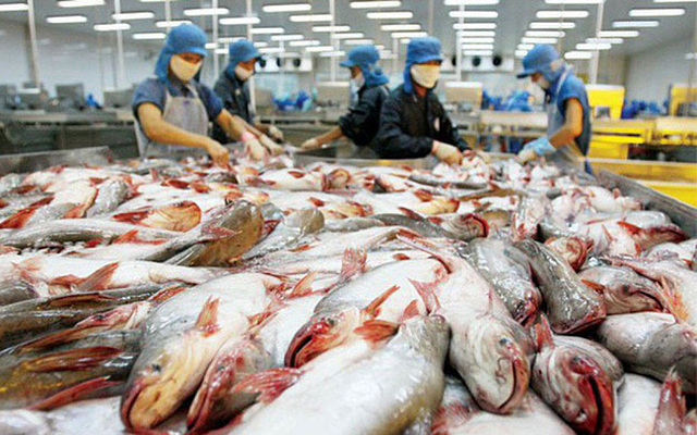 Dòng chảy cá thịt trắng trước lệnh trừng phạt của Mỹ, EU và cơ hội của cá tra Việt Nam - Ảnh 2.