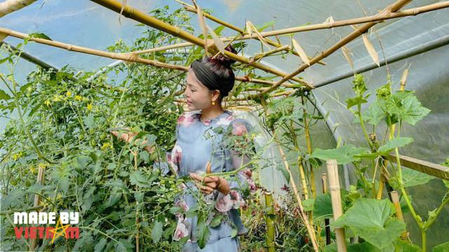 Muốn cảm nhận hương vị quê nhà, một cô gái tạo dựng cả khu vườn thuần Việt giữa đất Pháp - Ảnh 4.
