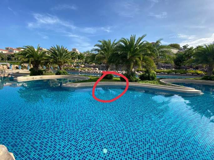  Khởi tố vụ án bé trai người Nhật tử vong tại hồ bơi một resort ở Mũi Né  - Ảnh 1.