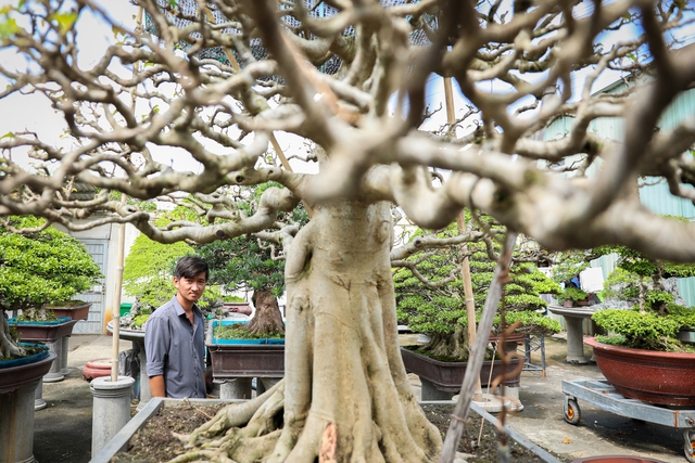 Nghệ nhân bonsai 9x kiếm tiền triệu mỗi ngày nhờ chăm cây tiền tỷ - Ảnh 8.