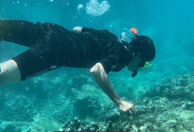 Những rạn san hô tuyệt đẹp ở các vùng biển Việt Nam đứng trước nguy cơ suy giảm hàng loạt, nhiều nơi đã phải lên kế hoạch để giải cứu - Ảnh 12.