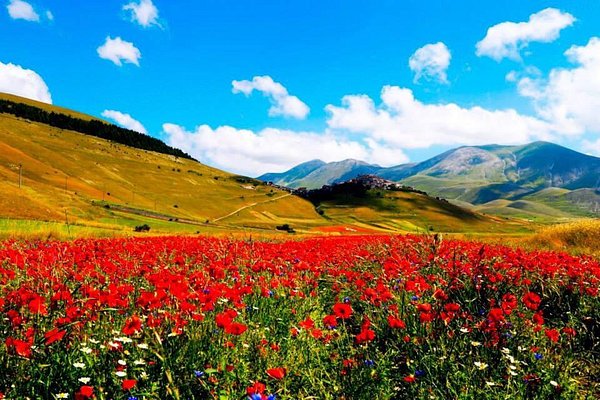 Kỳ diệu ngôi làng cổ nằm lơ lửng ở độ cao 1452 mét, cứ đến mùa hè là biến thành thảm hoa đầy màu sắc giữa châu Âu  - Ảnh 6.