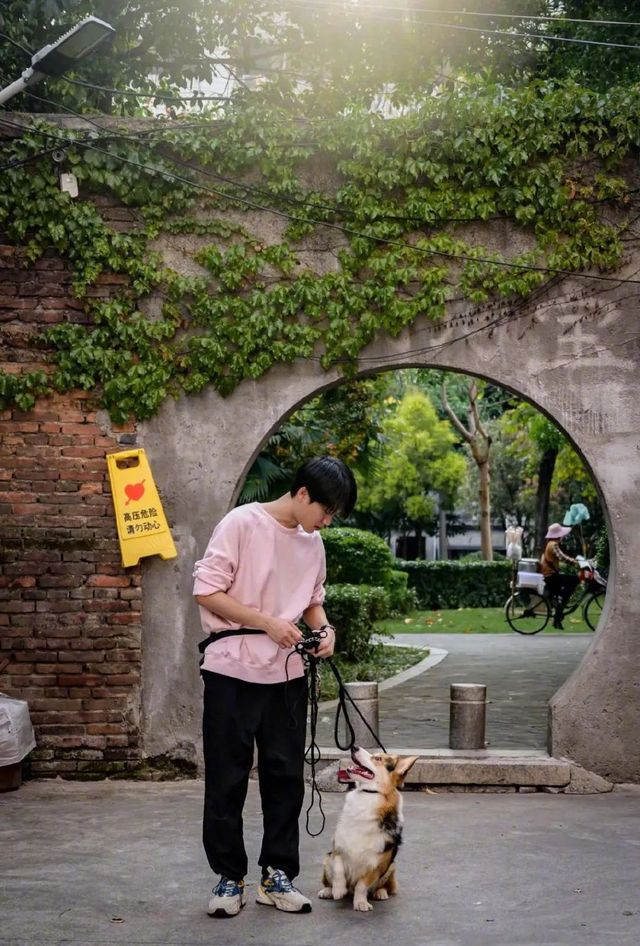 Nghề huấn luyện chó ở Trung Quốc: Lương tháng cả 100 triệu đồng - Ảnh 2.