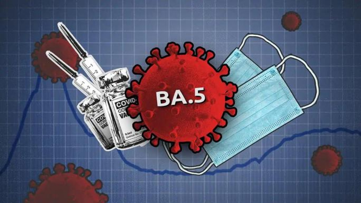 Biến chủng BA.5 xâm nhập vào Việt Nam liệu có gây bệnh nặng hơn? - Ảnh 1. Biến chủng BA.5 xâm nhập vào Việt Nam liệu có gây bệnh nặng hơn? - Ảnh 1.