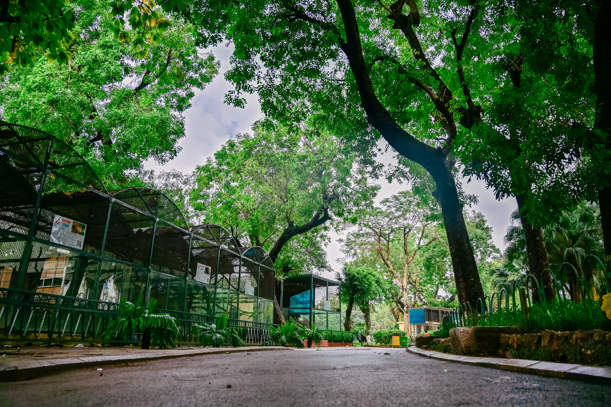 Những đảo đặc biệt ở Hà Nội: Nơi có tháp biểu tượng, nơi có chùa cổ nhất Thủ đô - Ảnh 12. Những đảo đặc biệt ở Hà Nội: Nơi có tháp biểu tượng, nơi có chùa cổ nhất Thủ đô - Ảnh 12.