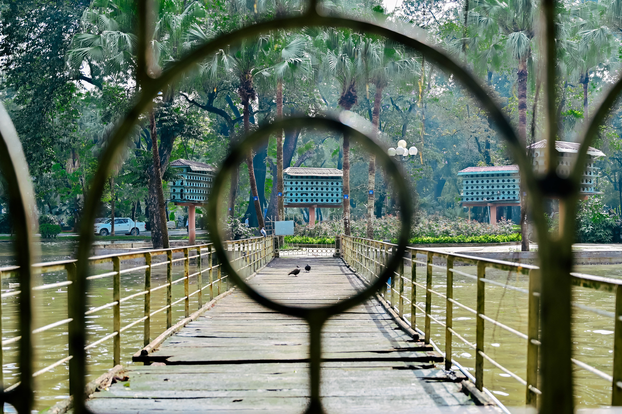 Những đảo đặc biệt ở Hà Nội: Nơi có tháp biểu tượng, nơi có chùa cổ nhất Thủ đô - Ảnh 14. Những đảo đặc biệt ở Hà Nội: Nơi có tháp biểu tượng, nơi có chùa cổ nhất Thủ đô - Ảnh 14.