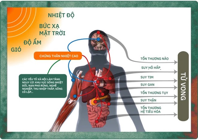 120 năm lịch sử của điều hòa: Từ xa xỉ phẩm dành cho giới triệu phú đến thiết bị bình dân trong thời đại biến đổi khí hậu - Ảnh 15.