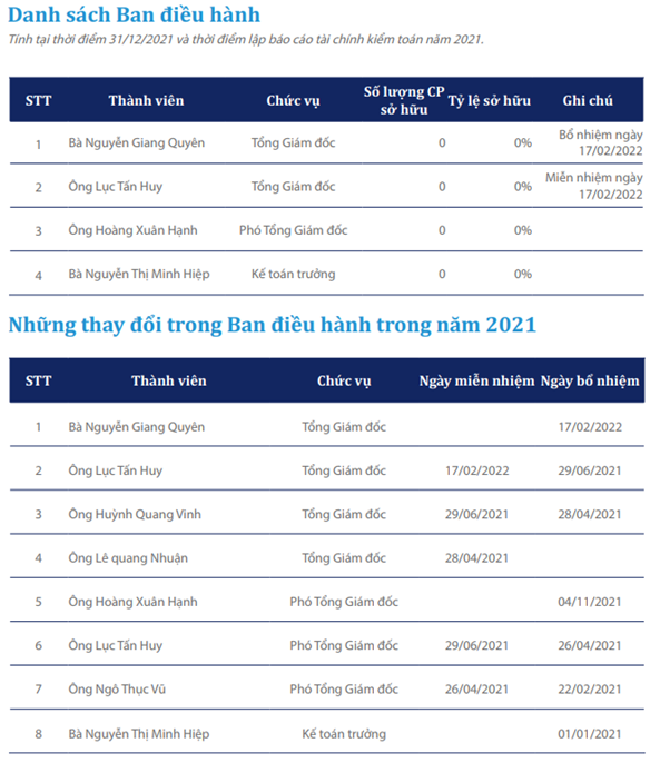 Kỷ lục một công ty niêm yết trong vòng 1 năm trải qua 5 đời Chủ tịch, 4 CEO, hiện tại không còn ai trong Hội đồng quản trị - Ảnh 1.