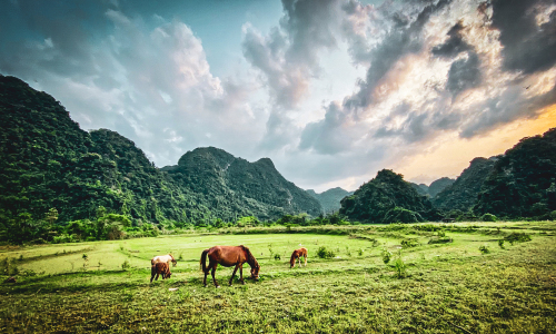  Khám phá Đồng Lâm - Mông Cổ thu nhỏ đẹp ngất ngây giữa lòng xứ Lạng  - Ảnh 31.