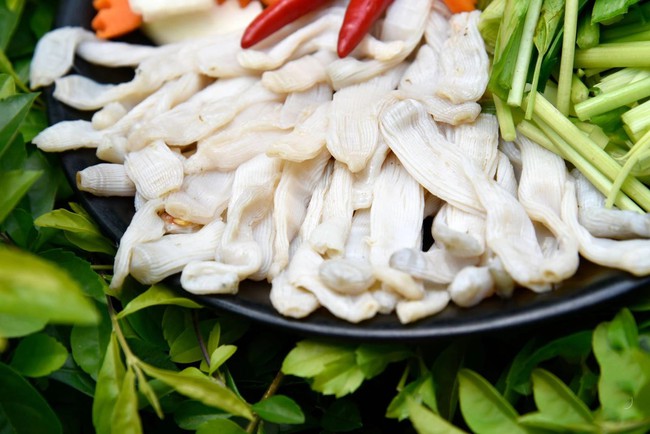 Sá sùng Quảng Ninh: Sản vật tiến vua, chế biến nhiều món ngon hấp dẫn - Ảnh 1. Sá sùng Quảng Ninh: Sản vật tiến vua, chế biến nhiều món ngon hấp dẫn - Ảnh 1.