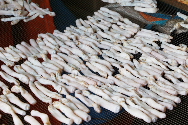 Sá sùng Quảng Ninh: Sản vật tiến vua, chế biến nhiều món ngon hấp dẫn - Ảnh 2. Sá sùng Quảng Ninh: Sản vật tiến vua, chế biến nhiều món ngon hấp dẫn - Ảnh 2.